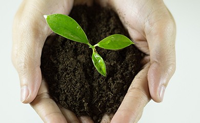 2025 年 9 月 10-12 日我司出展第 26 届中国国际光电博览会（CIOE 中国光博会）深圳国际会展中心(1A55)展台